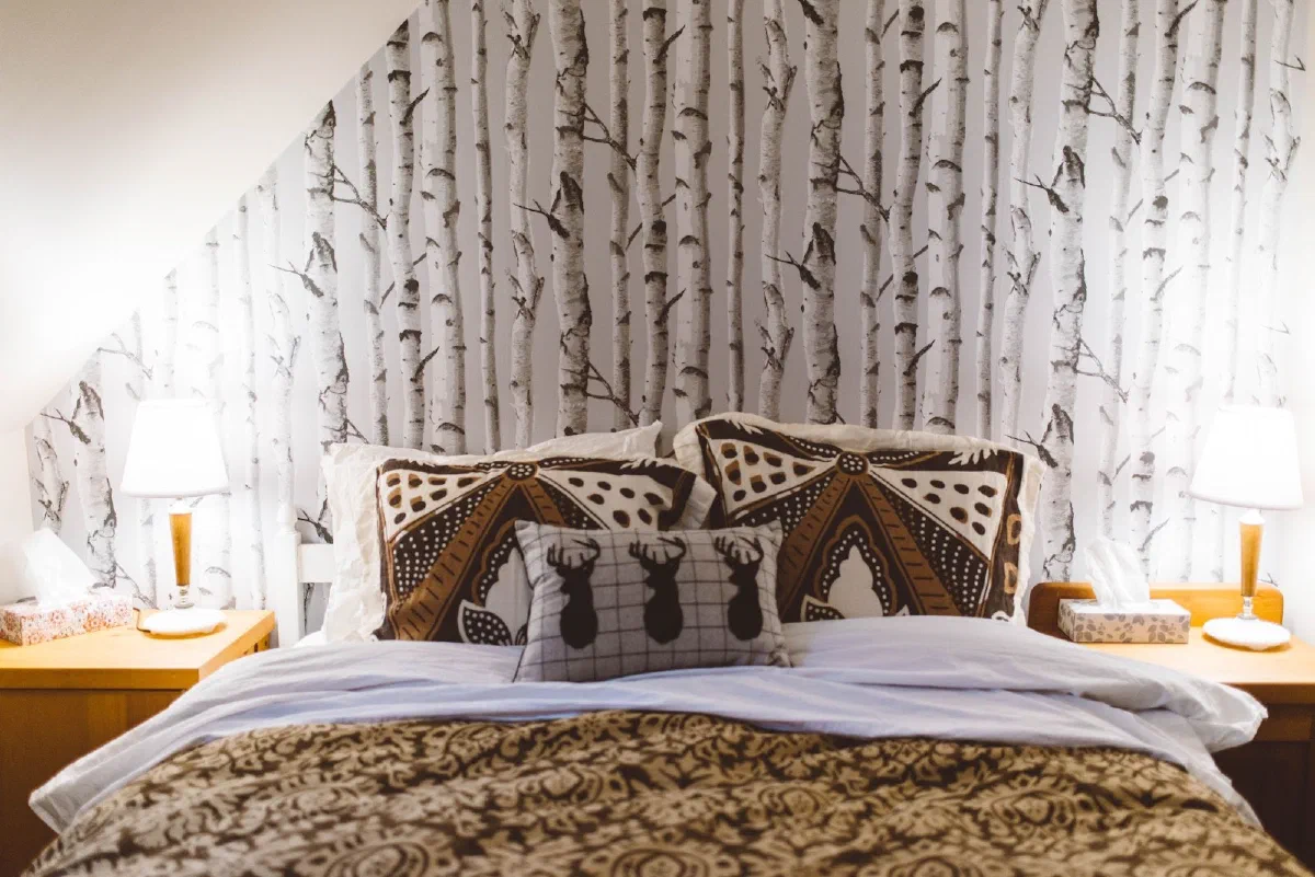 Chalet #01 — photo 3