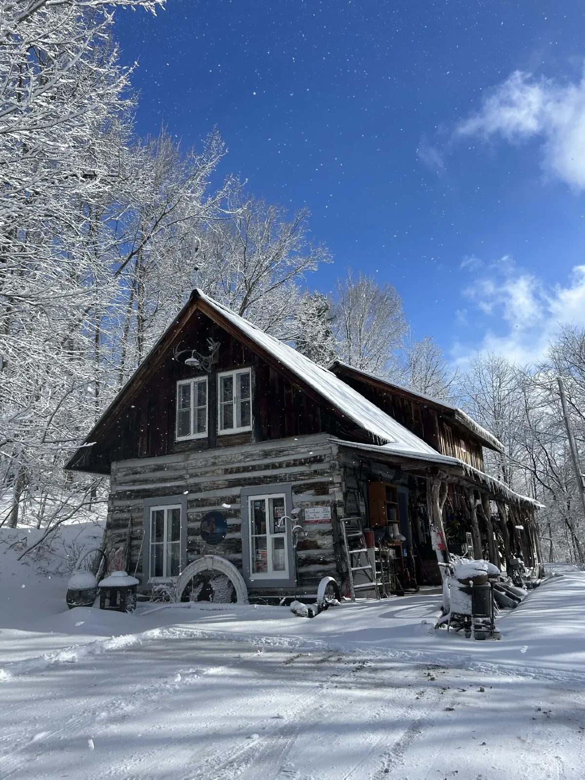 The store in winter